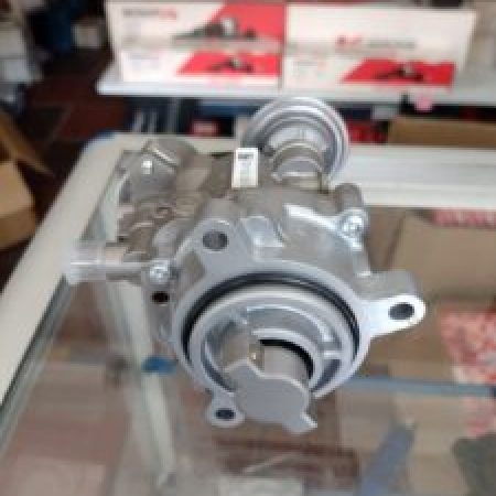 959d26a2-cfd4-4656-91b3-5d7ab54fbee8-225x300 (1)